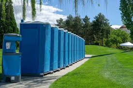 Best Portable Toilets for Disaster Relief Sites  in Luray, VA